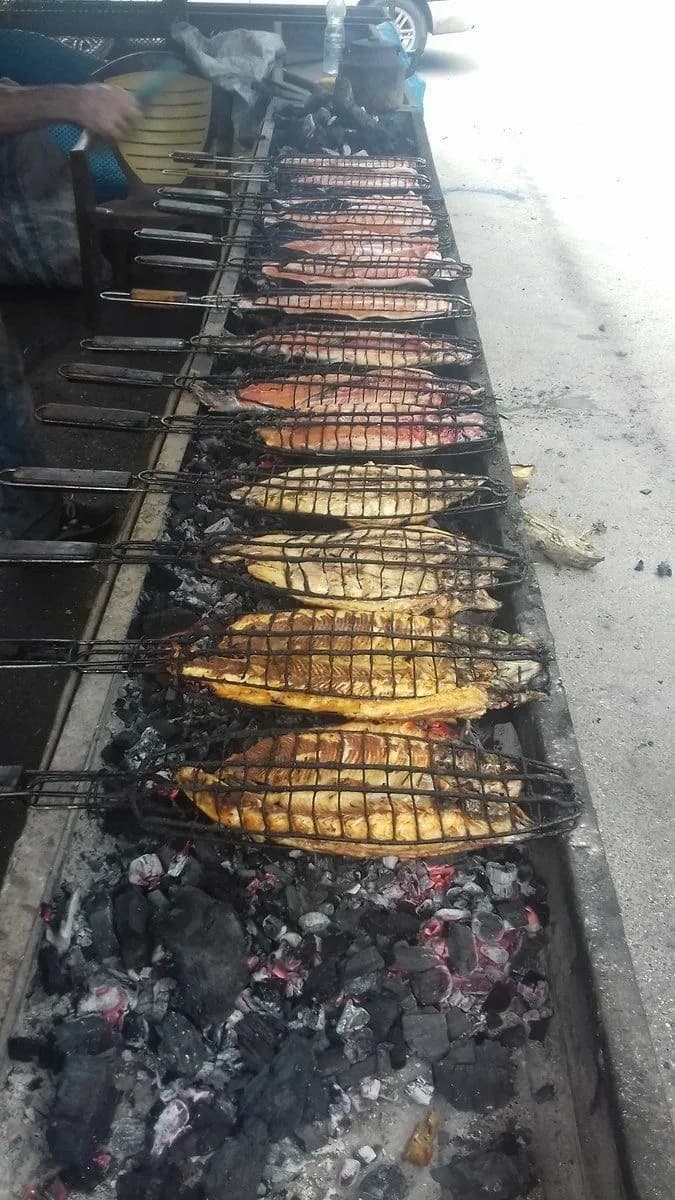 Poisson — photo 2