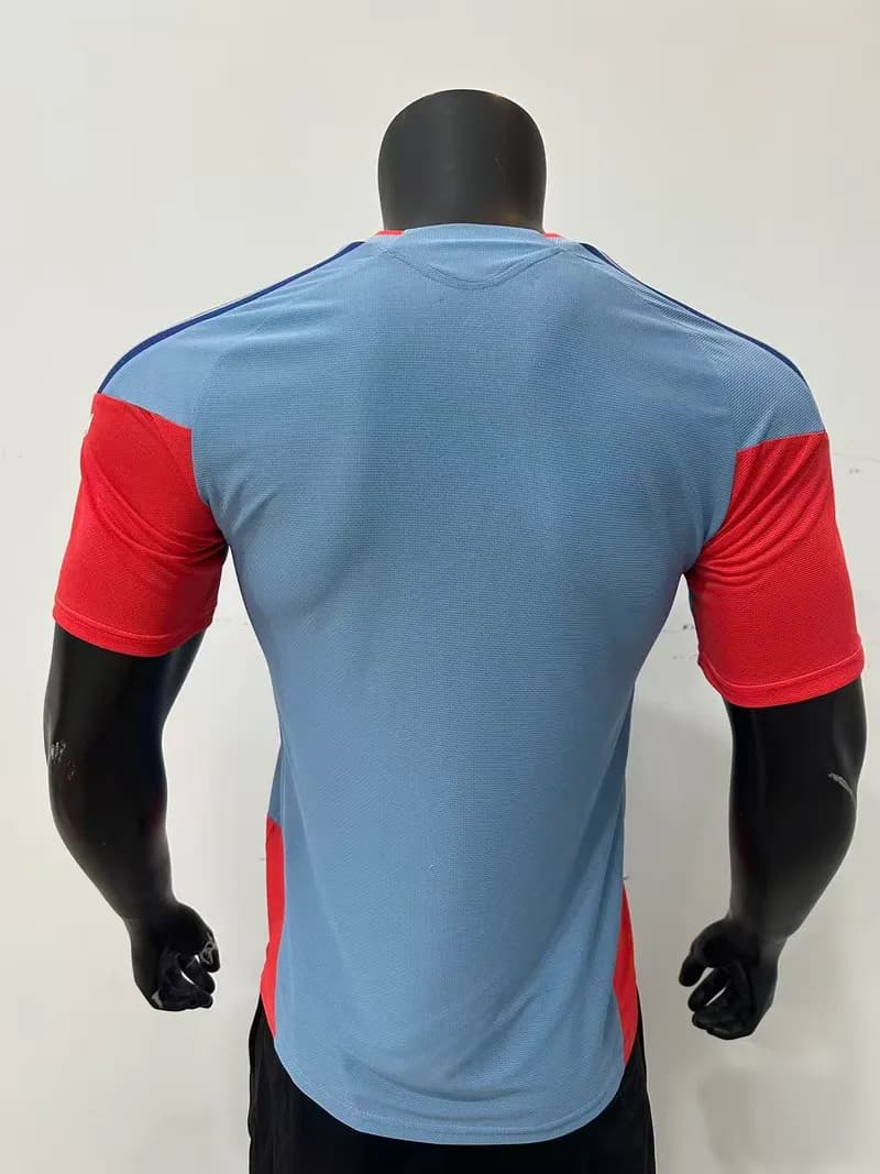 Jerseys Japon 🇯🇵 — photo 2
